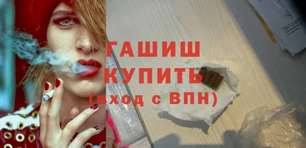 стаф Каменногорск