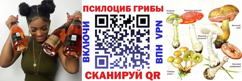 Псилоцибиновые грибы MAGIC MUSHROOMS  Купить  Дубовка 